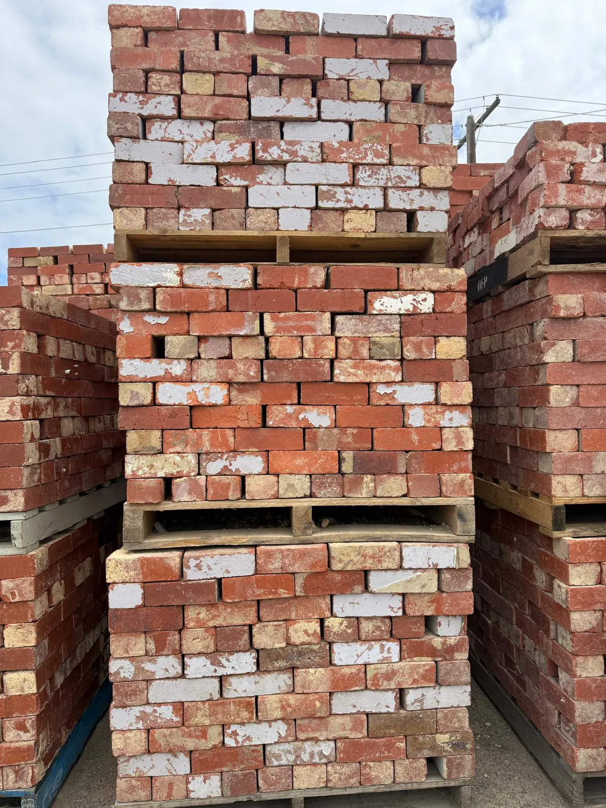Red Bricks at our yard