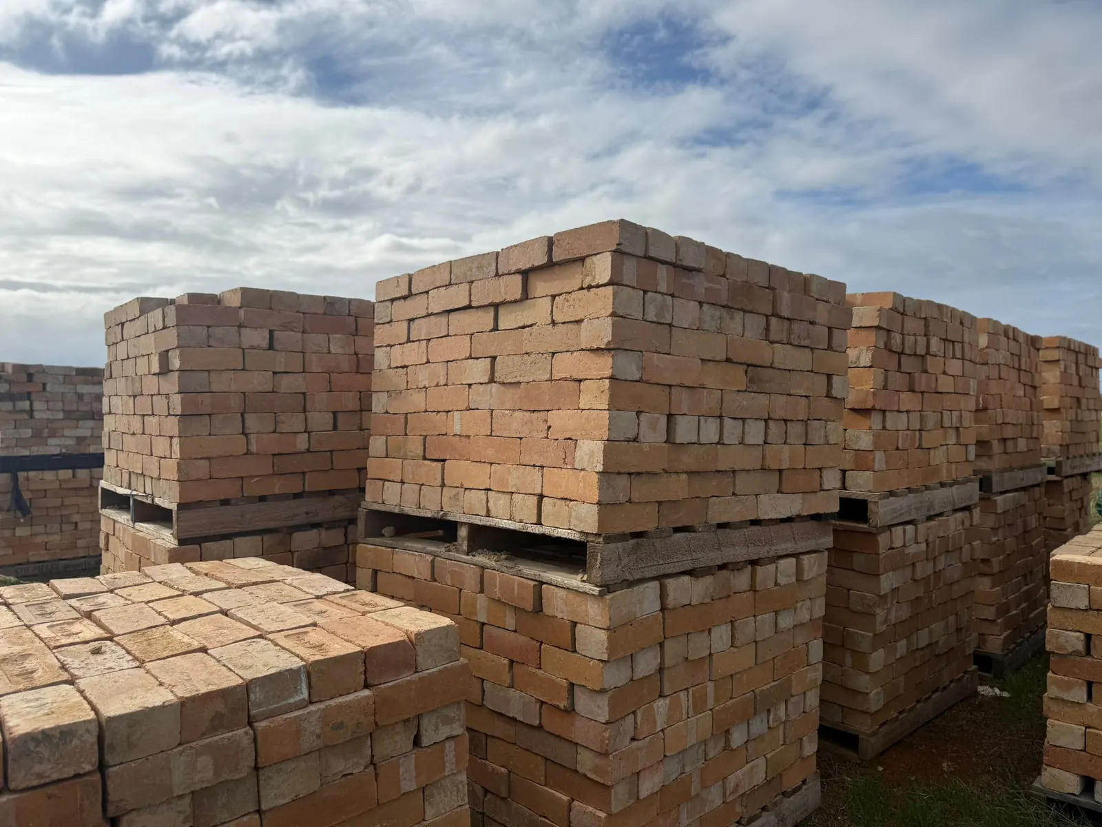 Cream Bricks at our yard